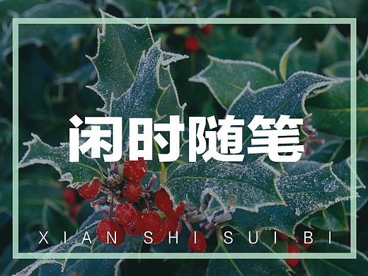 闲时随笔