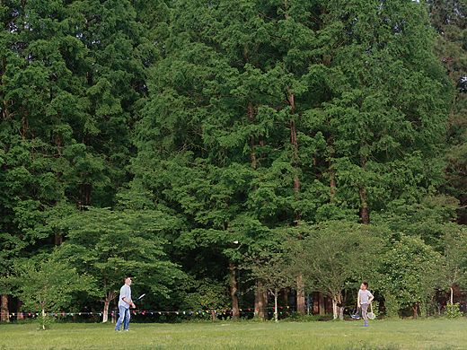 逛公园才是正经事