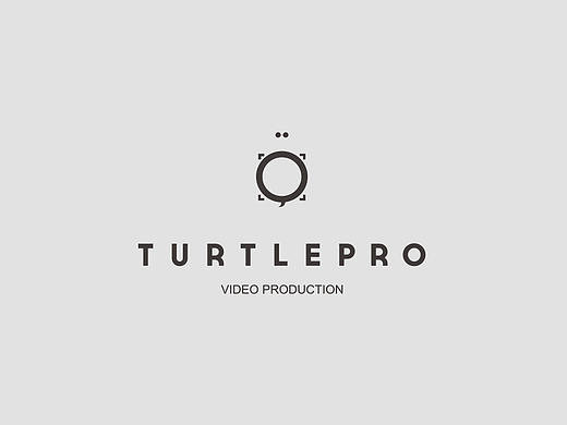 TURTLEPRO品牌升级