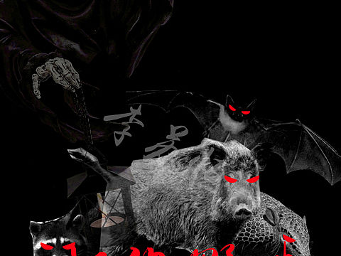 拒绝野味（个人主页-ZNDA3MzUzMTY=） - 海报 - 站酷设计师像雪莲花纯洁原创素材 - 站酷ZCOOL