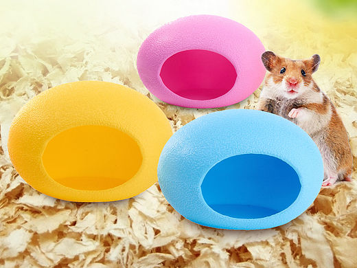 寵物類 主圖 直通車（個人主頁-ZMTUyMTc2NDA=） - 電商 - 站酷設計師肥肥版的六月蟲蟲原創(chuàng)素材 - 站酷ZCOOL