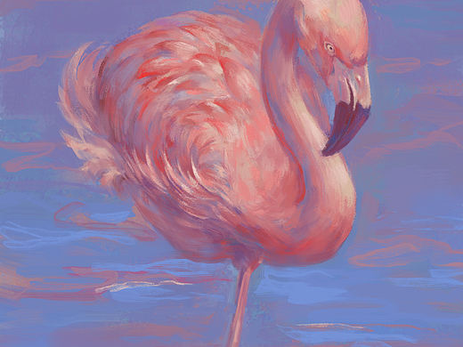 火烈鸟（个人主页-ZMzY0MjMwMjg=） - 创作习作 - 站酷设计师是彦啊彦原创素材 - 站酷ZCOOL