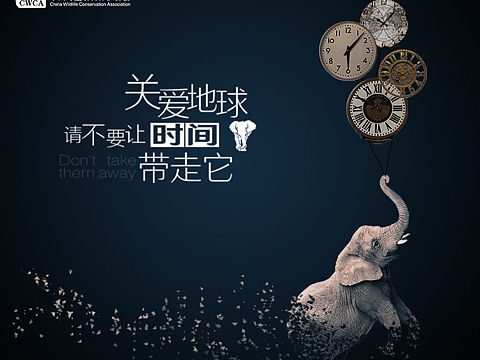保护动物