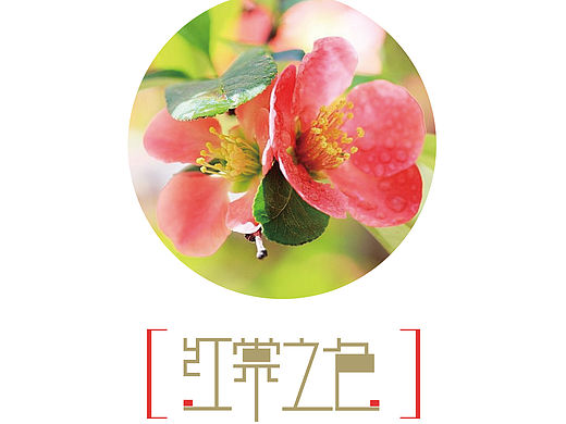 大学小作业——红糖姜茶策划案