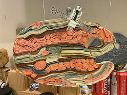 呦尼沃斯：萬、禿、歲