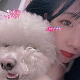 ad钙奶周的头像