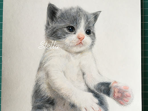 彩铅练习持续更新