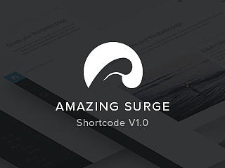 AS_Shortcode代码编辑器