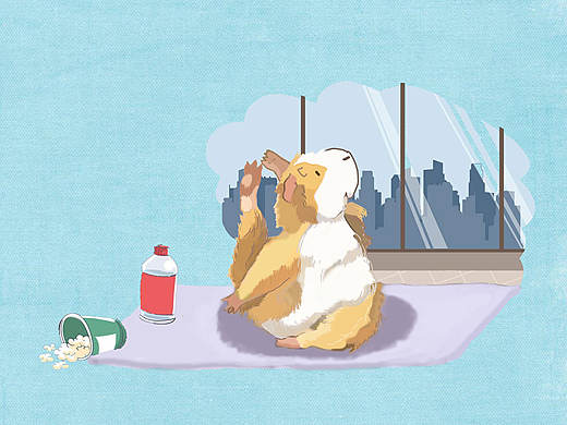 小仓鼠做瑜伽绘本改编