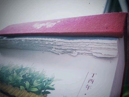 2017年已经过去的四分之一在这里（个人主页-ZMjExNjA4MjQ=） - 其他摄影 - 站酷设计师李小白的白原创素材 - 站酷ZCOOL