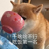 咱棕熊的头像