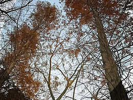 我们用那一刻记住了你的美