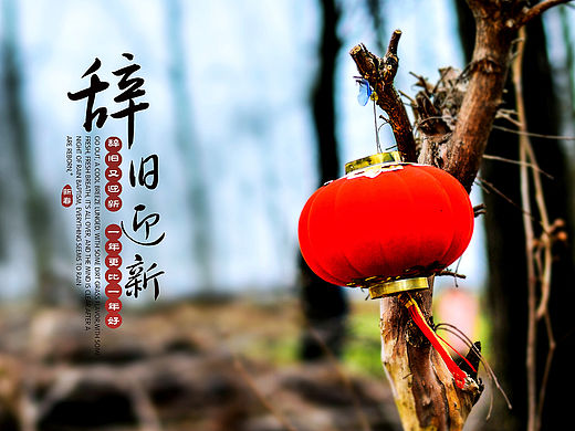 2016 “年味”