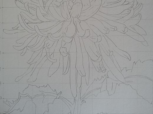 彩铅菊花