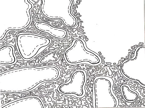 18-2裴加琪11803622密集构成