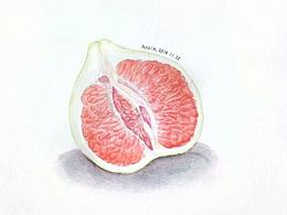 红肉蜜柚