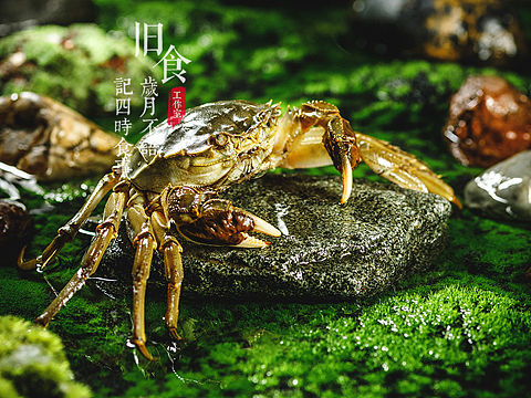 旧食｜阳澄湖大闸蟹
