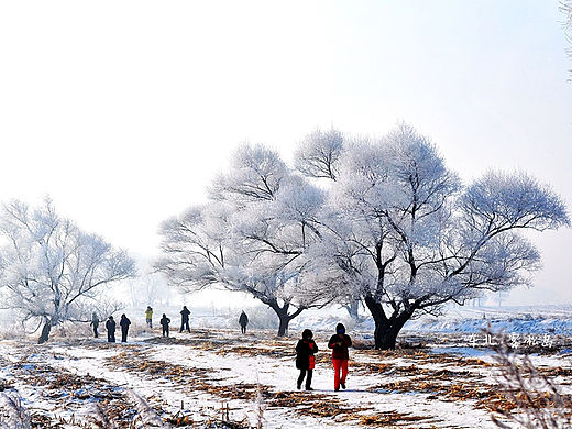 东北 · 雾凇岛（个人主页-ZMTQ4MjQzMjg=） - 风光摄影 - 站酷设计师夏天疯了原创素材 - 站酷ZCOOL