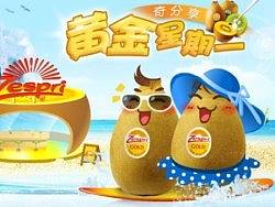 Zespri奇异果的结案报告