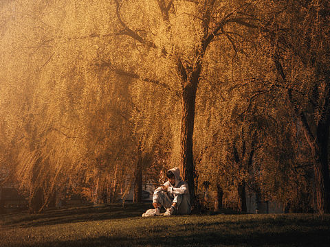 Collection-Life in The Vivid Dream 