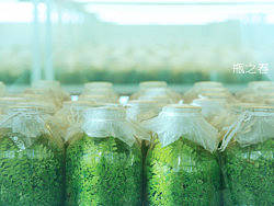 小角落的春（个人主页-ZMTI5MzE3Mg==） - 产品摄影 - 站酷设计师云的理论原创素材 - 站酷ZCOOL