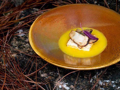 食物本身 野野的样子 | 美食摄影 蔬食之美