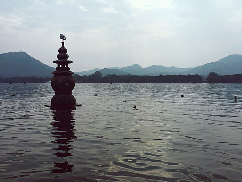 西湖风景