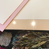 空间设计师PP姐的头像