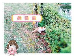 喵嗚