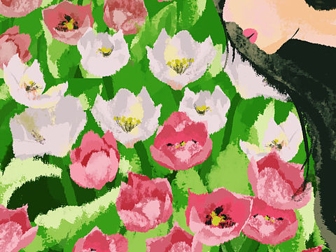Tulip