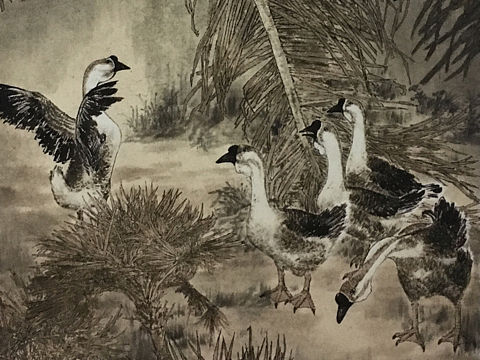 中国美术家协会会员岑今花鸟画欣赏