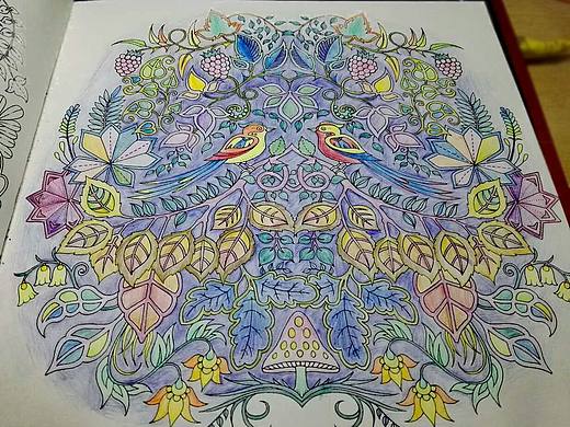 课余生活的日常