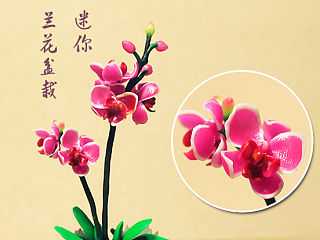软陶花艺迷你兰花和玫瑰