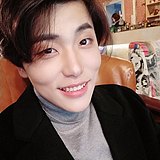 鲨鱼的头像