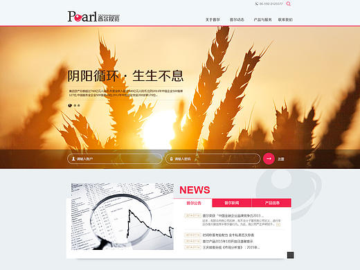 企业官网——普尔投资内页
