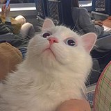 Ru_dy的头像