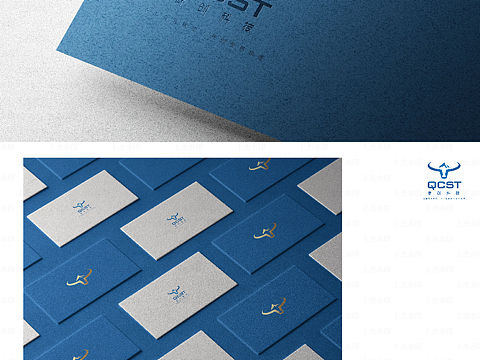 青创科技LOGO展示/VI展示