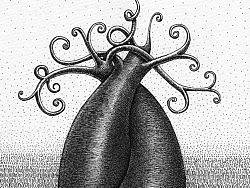 爱的专辑（个人主页-ZMTg0NzExMg==） - 创作习作 - 站酷设计师青蛙野树原创素材 - 站酷ZCOOL