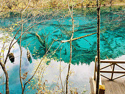 九寨天堂（个人主页-ZMzI2NTYxMg==） - 风光摄影 - 站酷设计师沈师傅么么茶原创素材 - 站酷ZCOOL