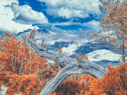 Scotland｜蘇格蘭