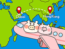 猪