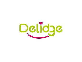 Delidge 品牌设计-刘珣品牌设计