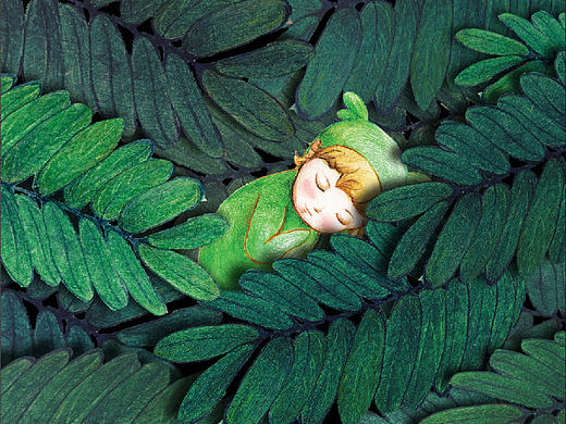 《睡眠宝宝》——植物种子系列包装设计