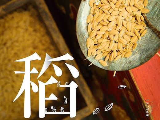 红色系－食物拍摄
