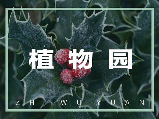 植物园游记