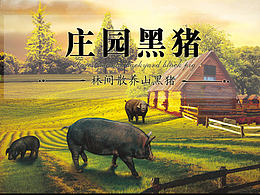 商城参考