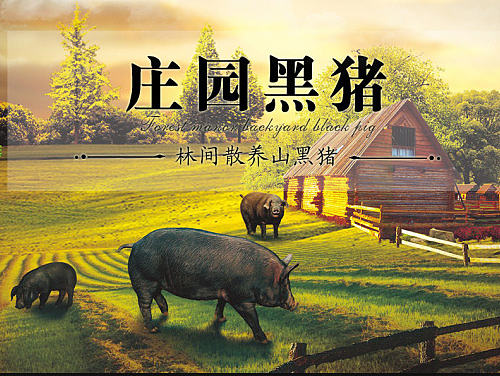 高金食品天猫旗舰店首页（个人主页-ZMjEyMDUyOTY=） - 电商 - 站酷设计师涵星原创素材 - 站酷ZCOOL
