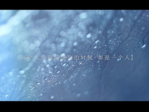[ 小清新 ] 每一个人活得最漂亮的时候，都是一个人。
