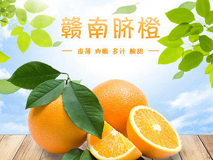 电商详情页（练习）（个人主页-ZMjA4MjcwNDQ=） - 电商 - 站酷设计师陌上有蒲柳原创素材 - 站酷ZCOOL