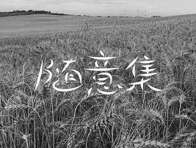 随意集